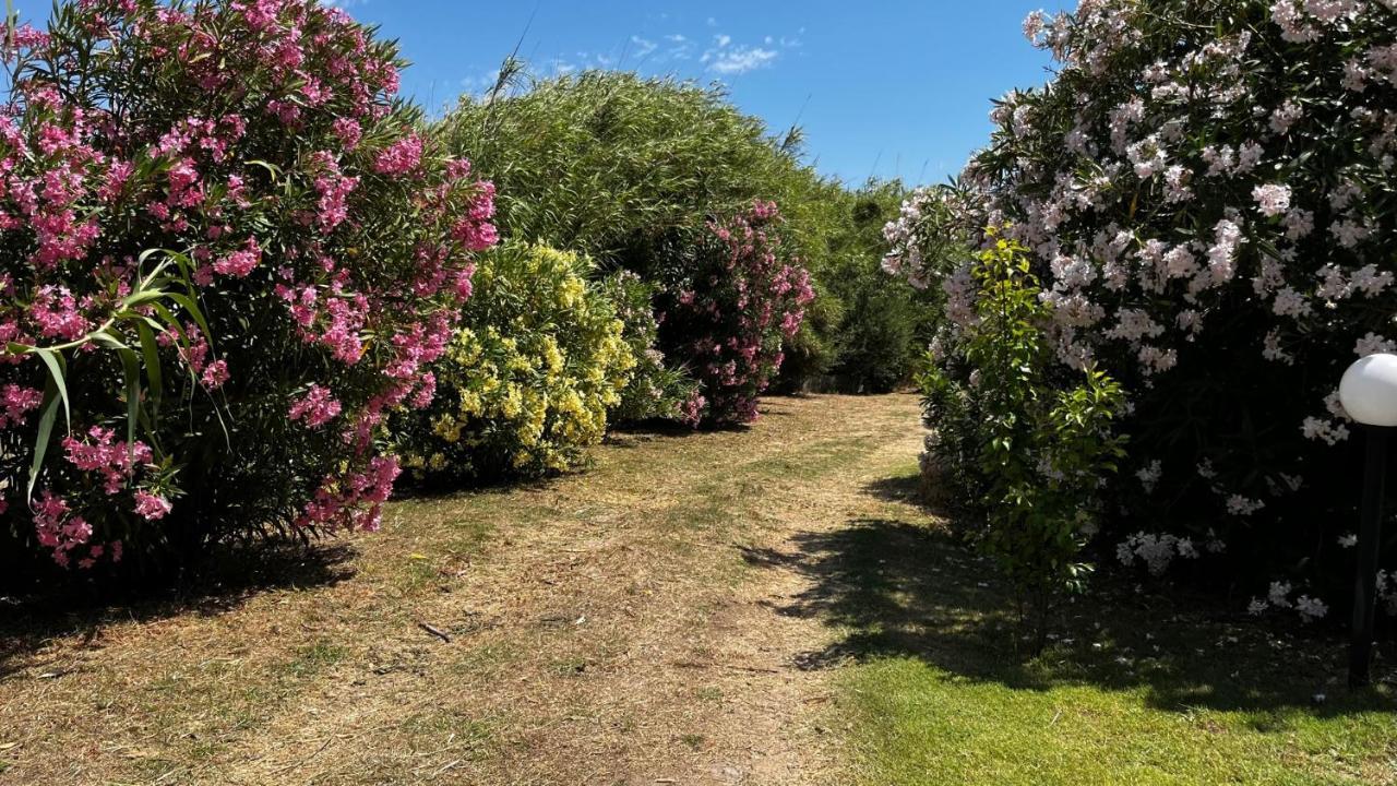 Hotel Frassetto Santa Teresa Gallura Εξωτερικό φωτογραφία
