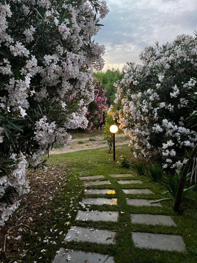 Hotel Frassetto Santa Teresa Gallura Εξωτερικό φωτογραφία